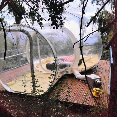 ホテル Dans Ma Bulle By C Cibeaulaos シラオス エクステリア 写真