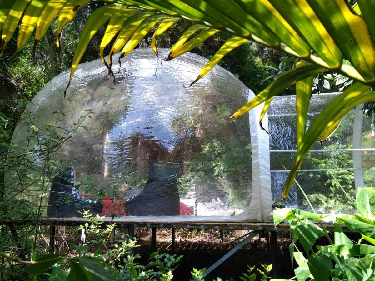 ホテル Dans Ma Bulle By C Cibeaulaos シラオス エクステリア 写真